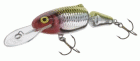 Salmo Frisky DR5