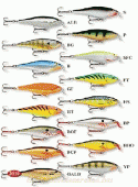 Rapala Shallow Shad Rap SSR-5 (614....)