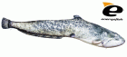 Monster harcsa párna, 200cm, 74016-340