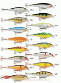 Rapala Shallow Shad Rap SSR-7 (614....)
